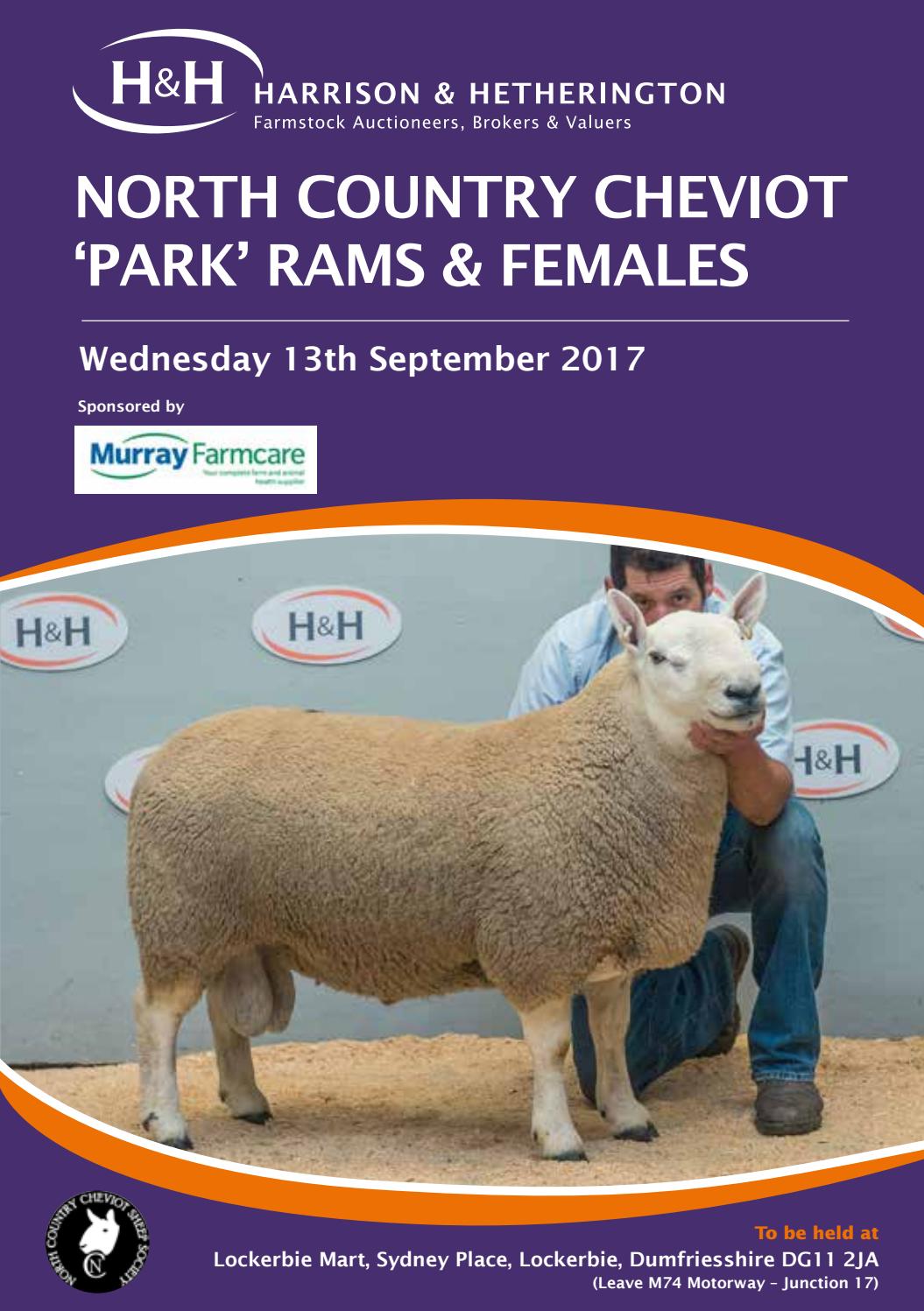 Lockerbie North Country Cheviot 'Park' Show & Sale 130917 by Harrison