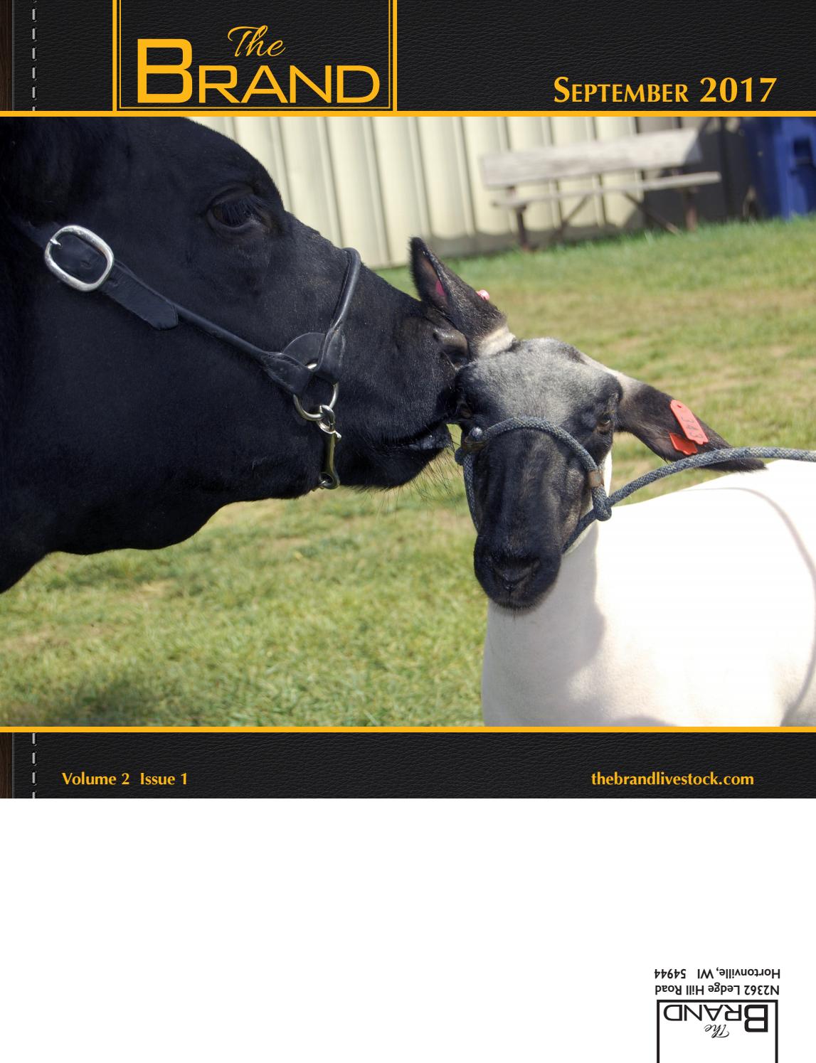 The Brand - September 2017 by The Brand - Issuu