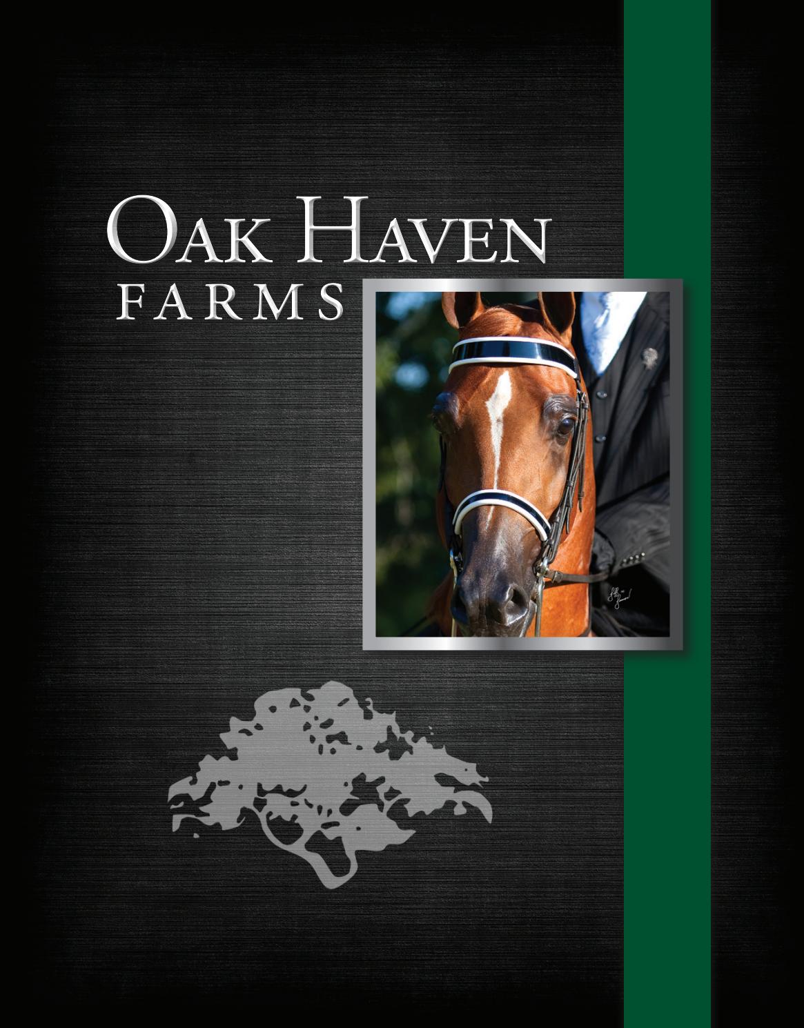 Oak Haven Farms by Arabian Horse World Issuu