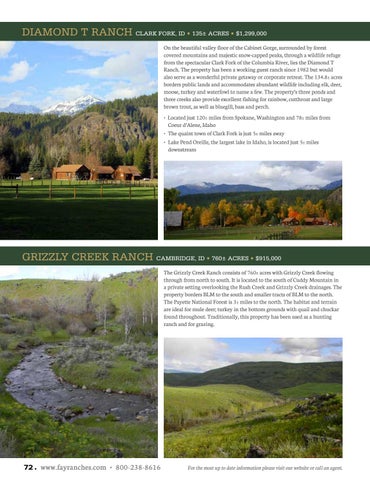 Land Investor Magazine Volume 3 by Fay Ranches - Issuu