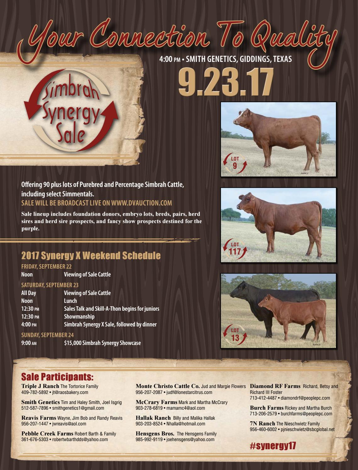 20 Synergy Catalog by SCI Stephanie Cronin, INC Issuu