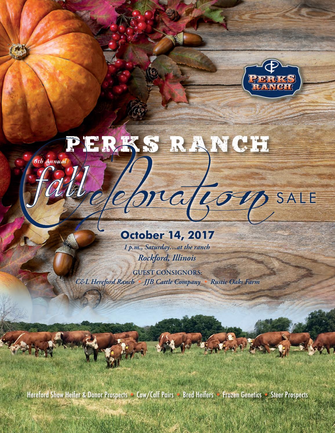2017 Perks Ranch Sale Catalog by Ranch House Designs Issuu