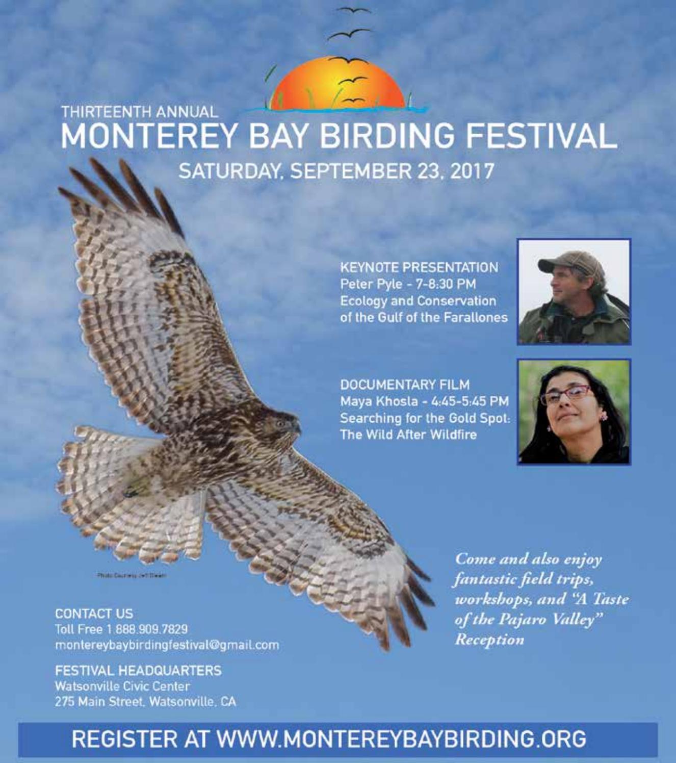 Monterey Bay Birding Festival by Weeklys Issuu