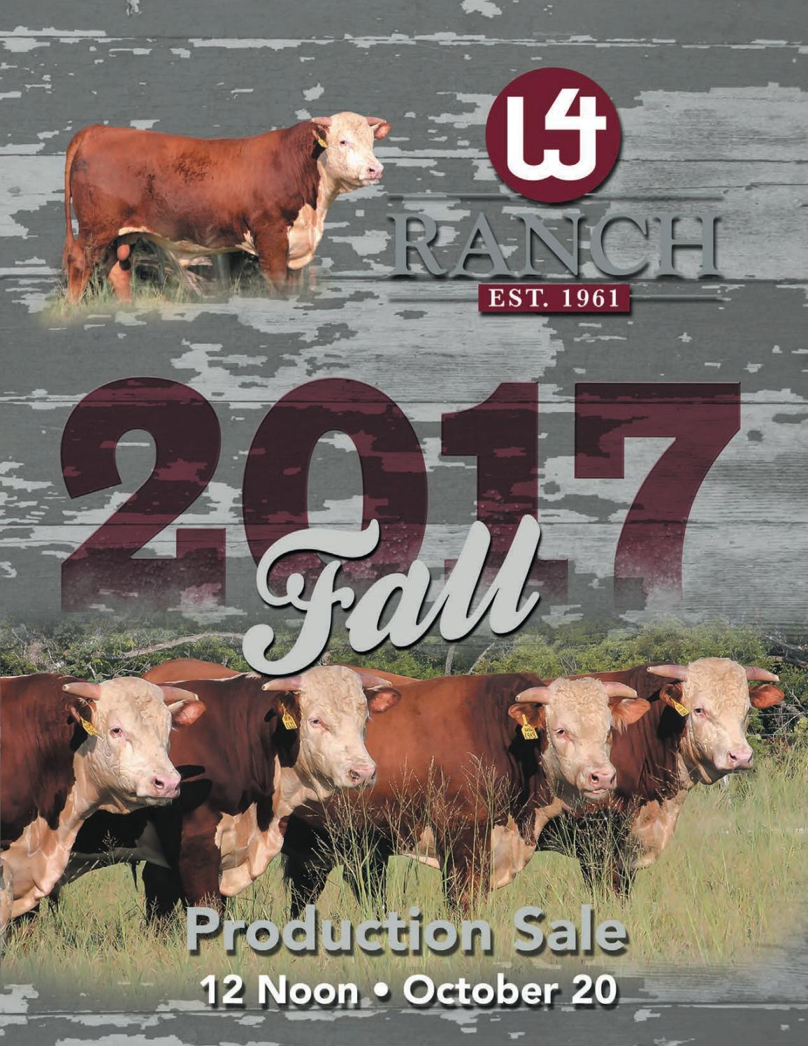 2017 W4 Ranch Sale Catalog by Ranch House Designs Issuu