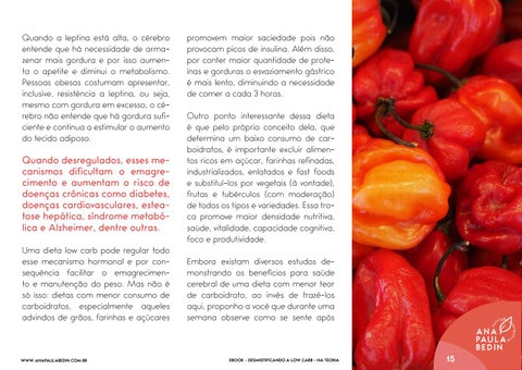 Ana Paula Bedin - Low Carb 第 15 页