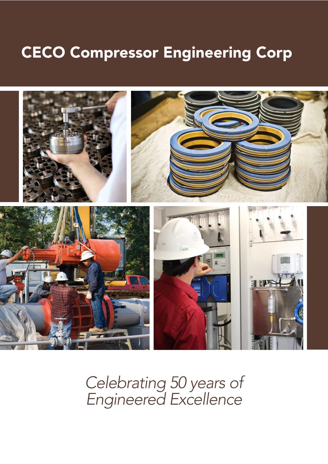 Brochure CECO by Business Chief USA Issuu