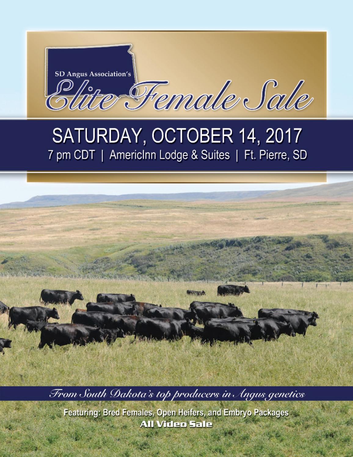 Sd angus 2017 catalog by RPI Promotions Issuu