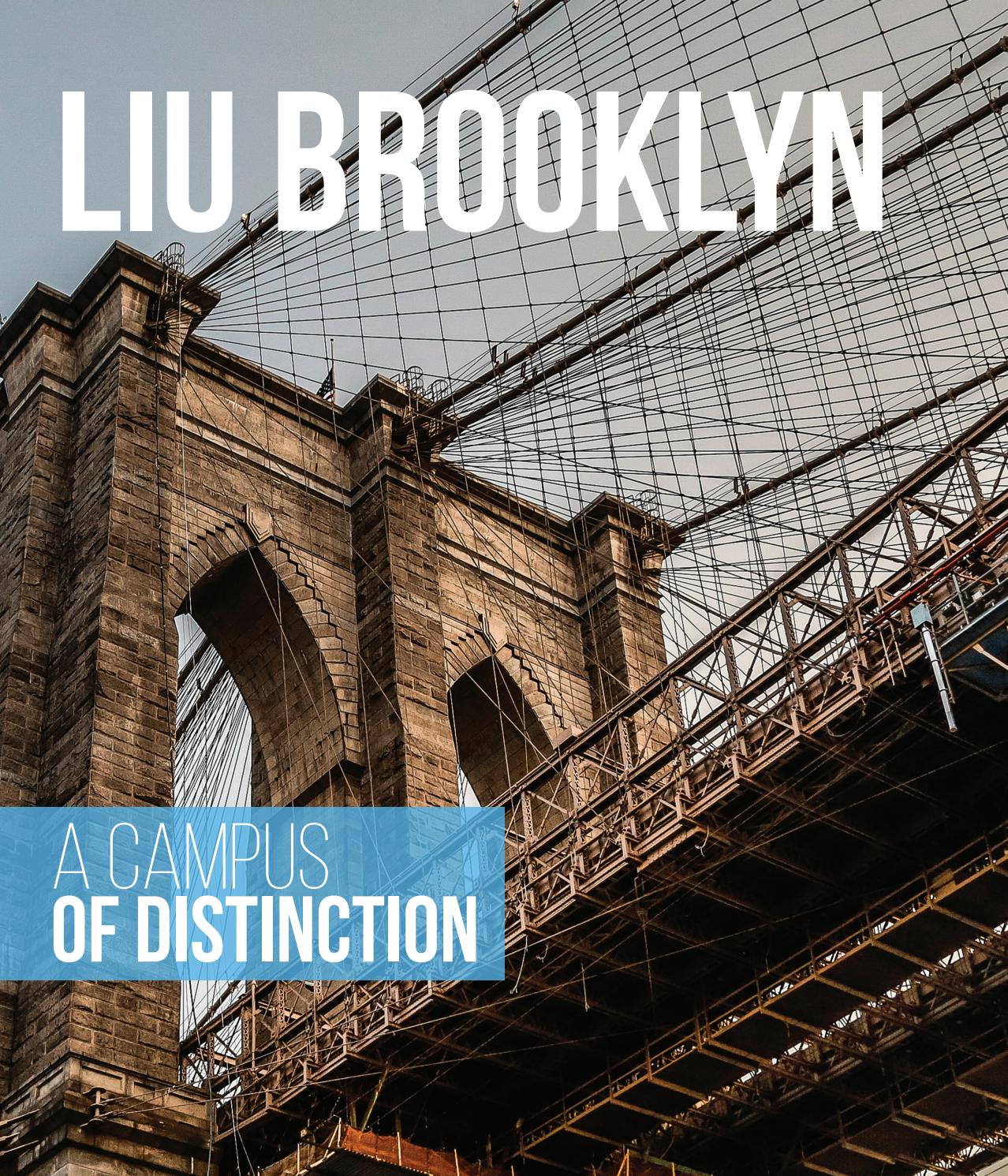 liu-brooklyn-magazine-by-long-island-university-issuu