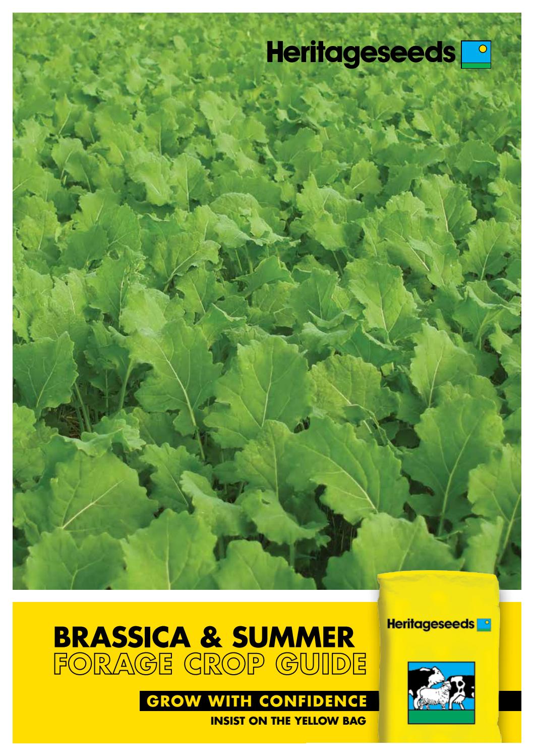 Heritage Seeds Brassica & Summer Forage Crop Guide by Heritage Seeds