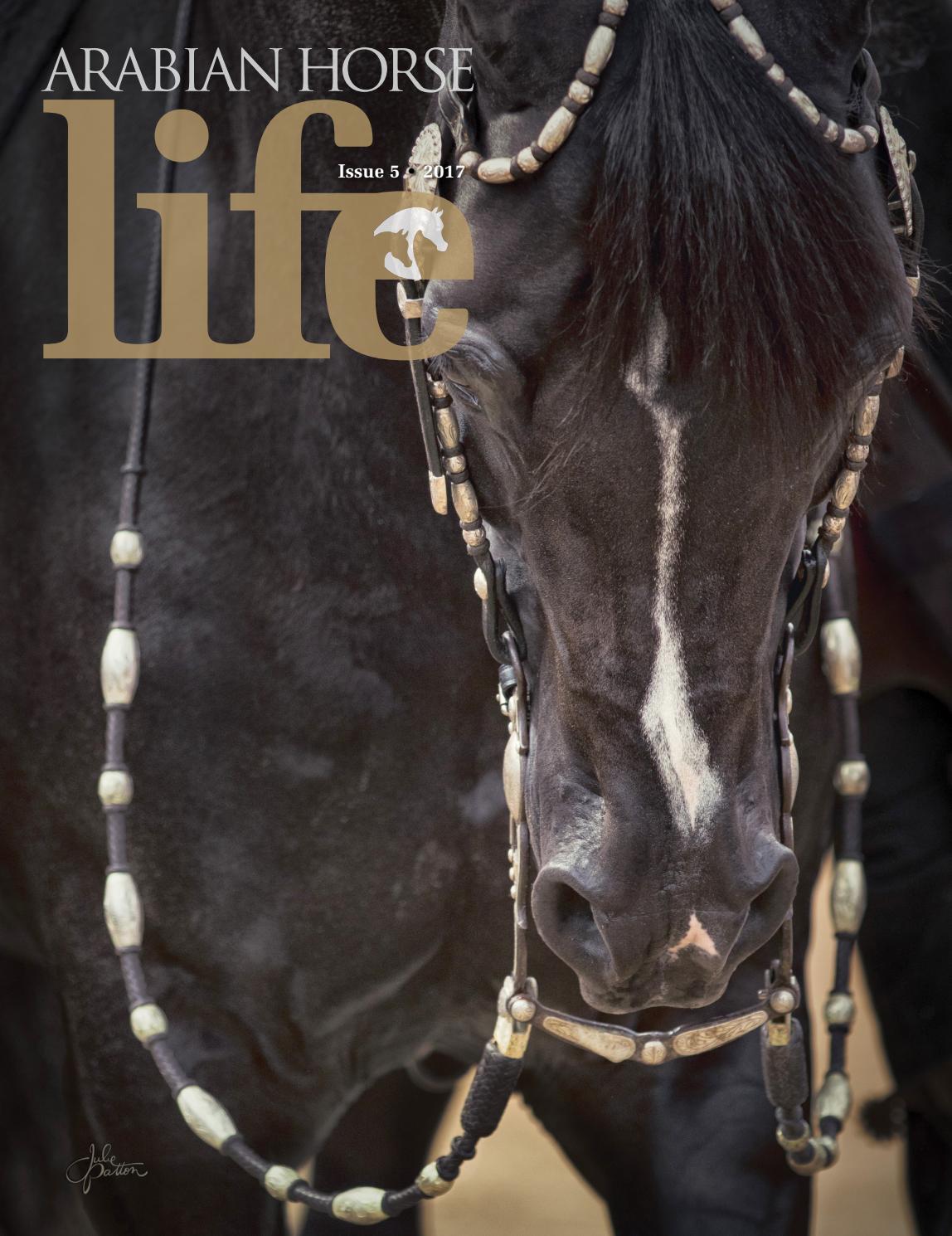 Arabian Horse Life Magazine MiniIssue Issue 5, 2017 by Arabian Horse