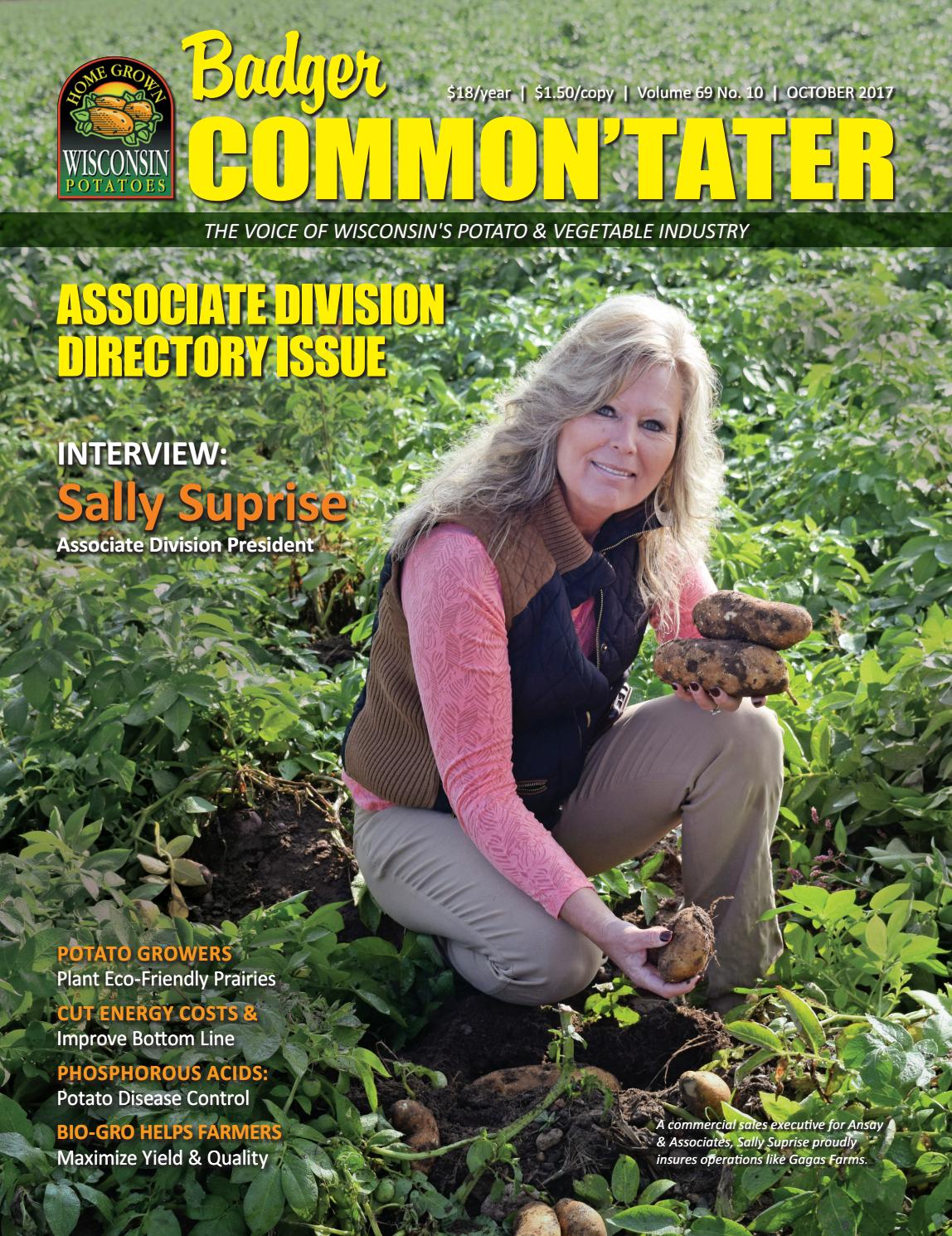1710-badger-common-tater-by-bctater-issuu