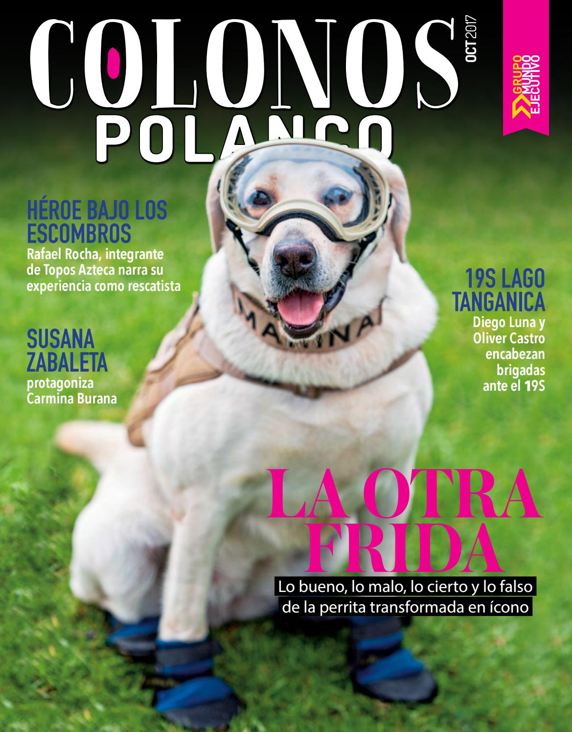 pudín como heces en gatos
