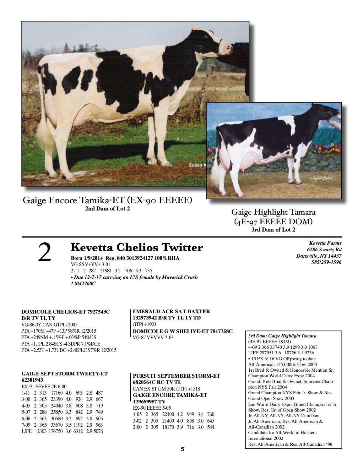 Allegany Steuben Holstein Club Sale By Cowsmopolitan Issuu