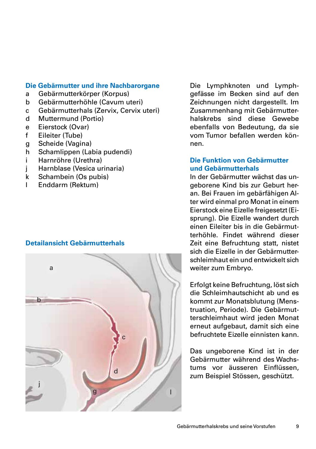 Gebarmutterhalskrebs Und Seine Vorstufen By Krebsliga Schweiz Issuu