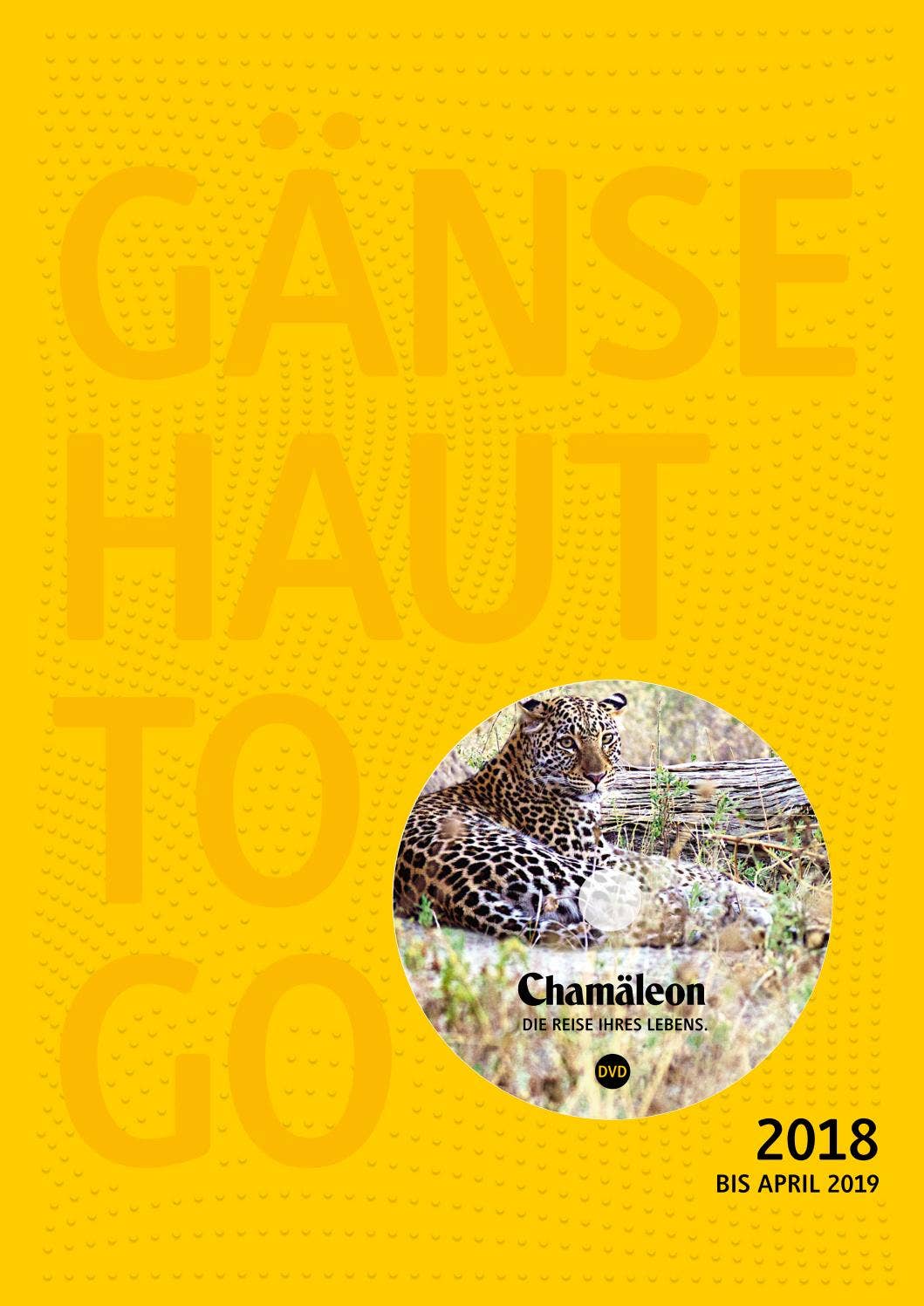 Chamäleon Katalog 2018 by Chamäleon Issuu