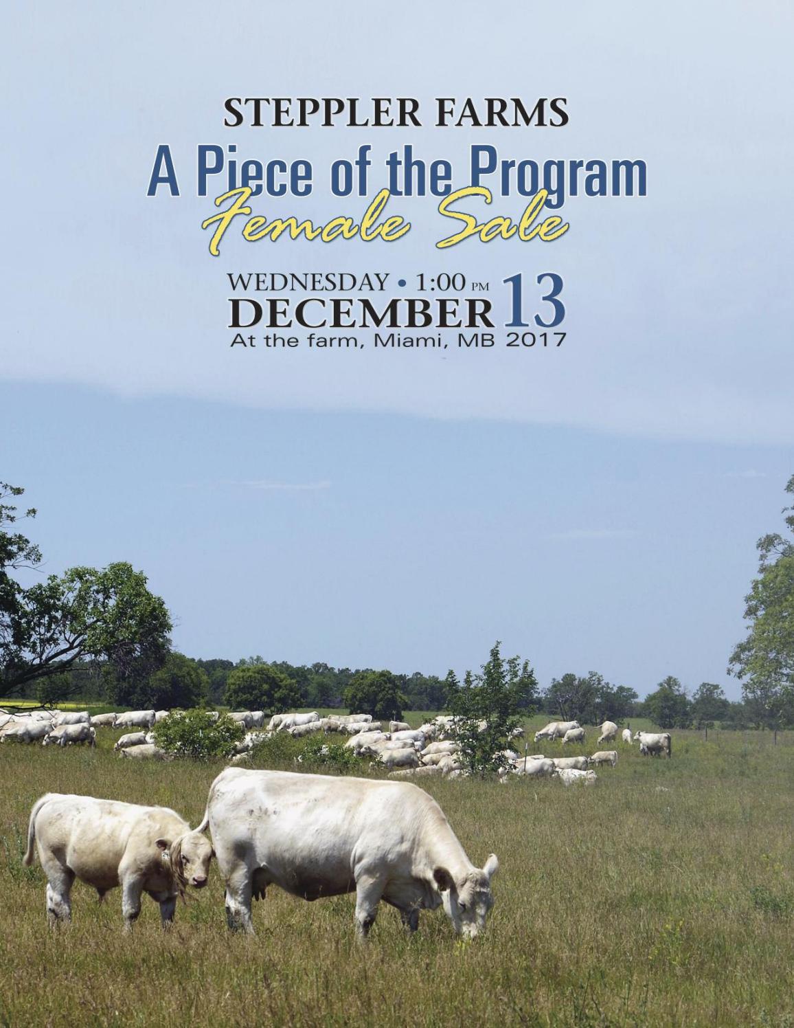 Steppler Female Sale 2017 Catalog By Charolais Banner Issuu