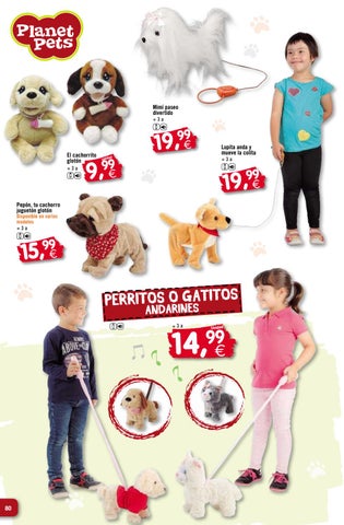 perrito andarin