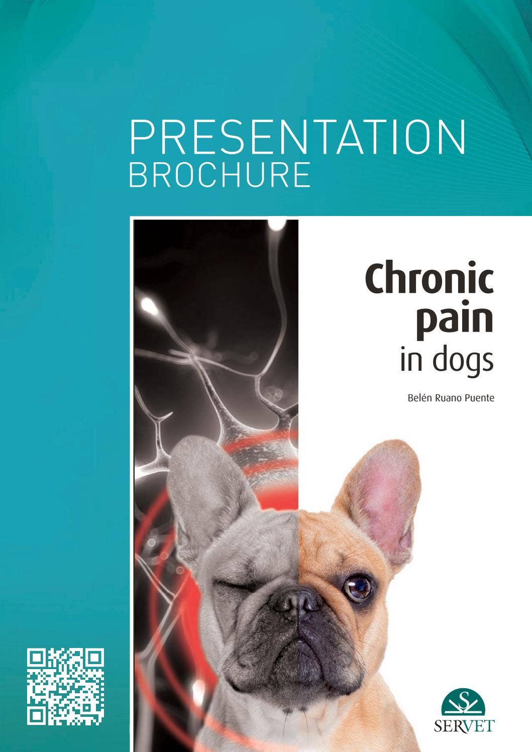 Chronic pain in dogs by Grupo Asís - Issuu