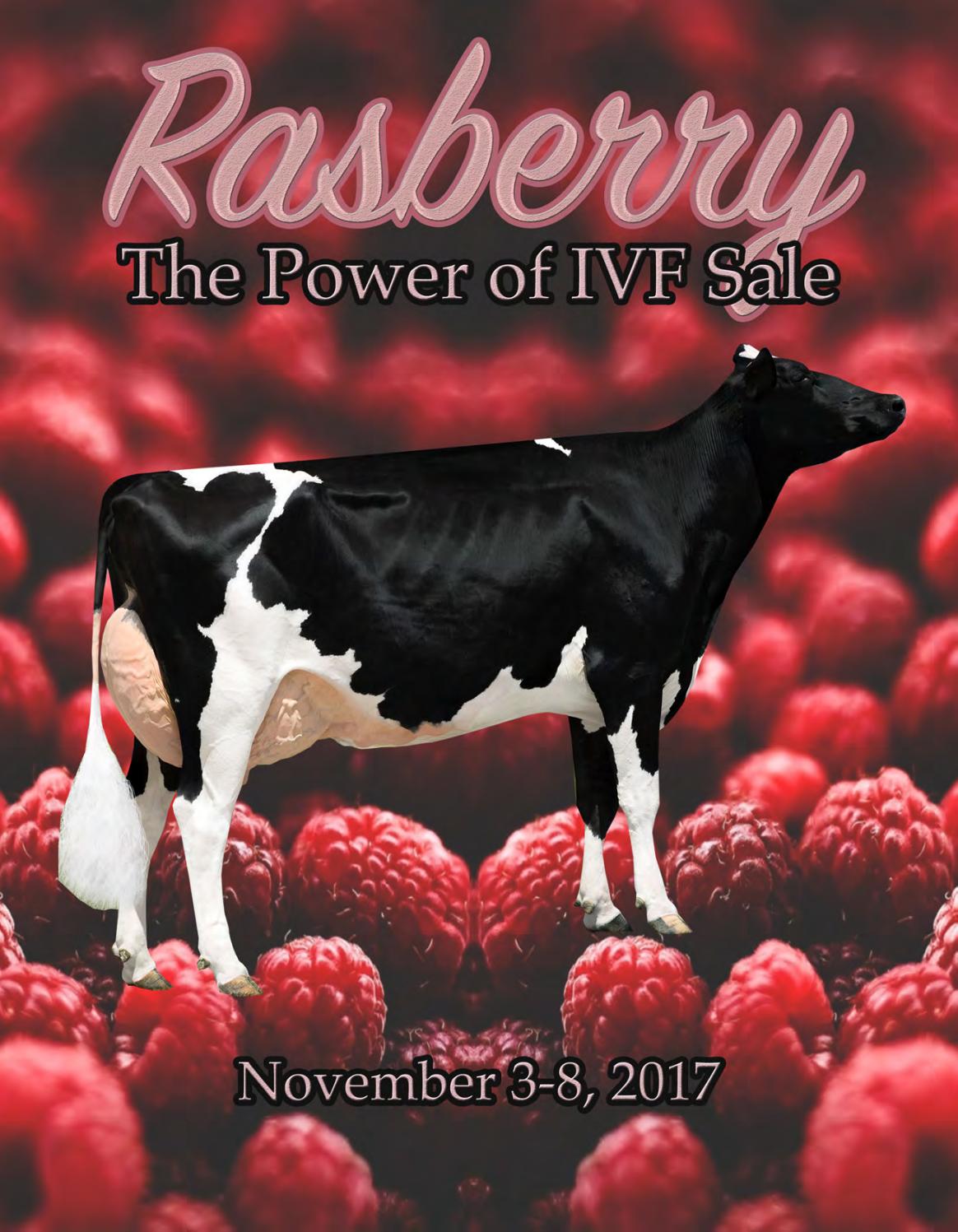 Rasberry the Power of IVF Sale 2017 by Dairy Agenda Today Issuu