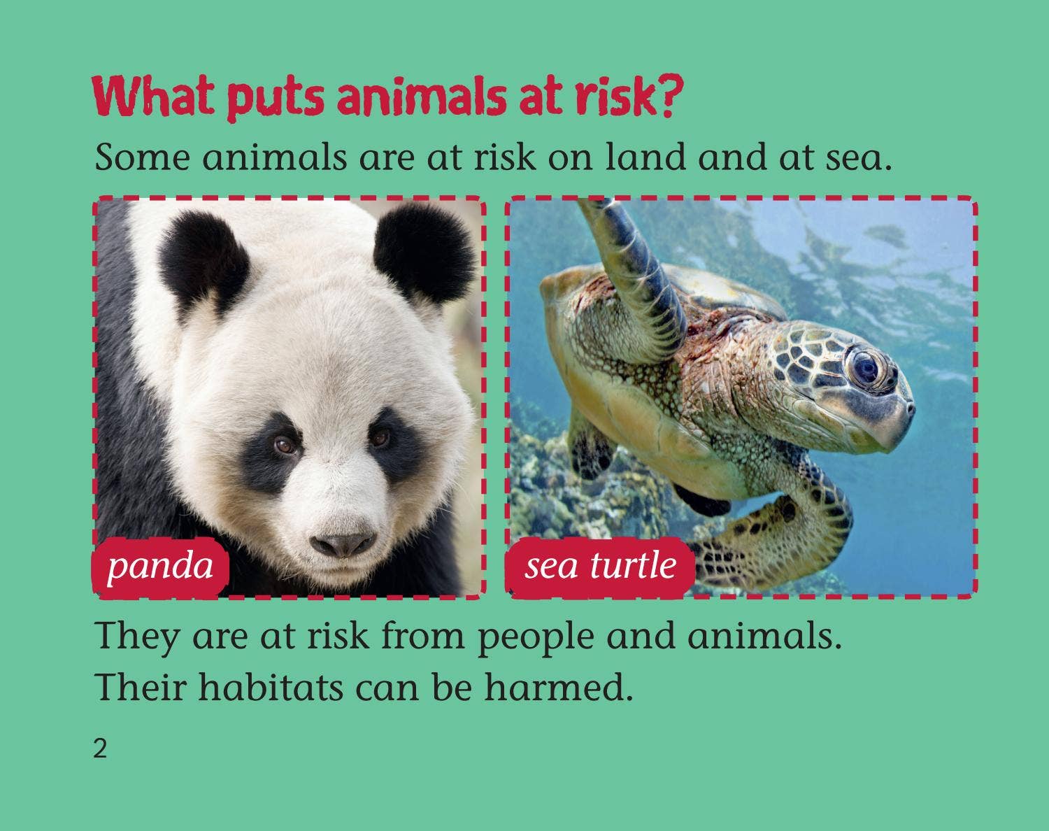 Animals at Risk by Collins - Issuu
