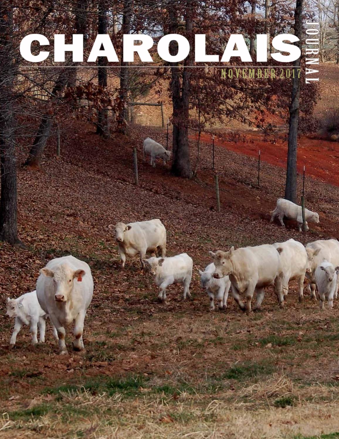 Charolais Journal By Edje Issuu