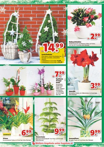 Russmedia Digital GmbH 家具目录 · Hagebaumarkt kw45 第 4 页