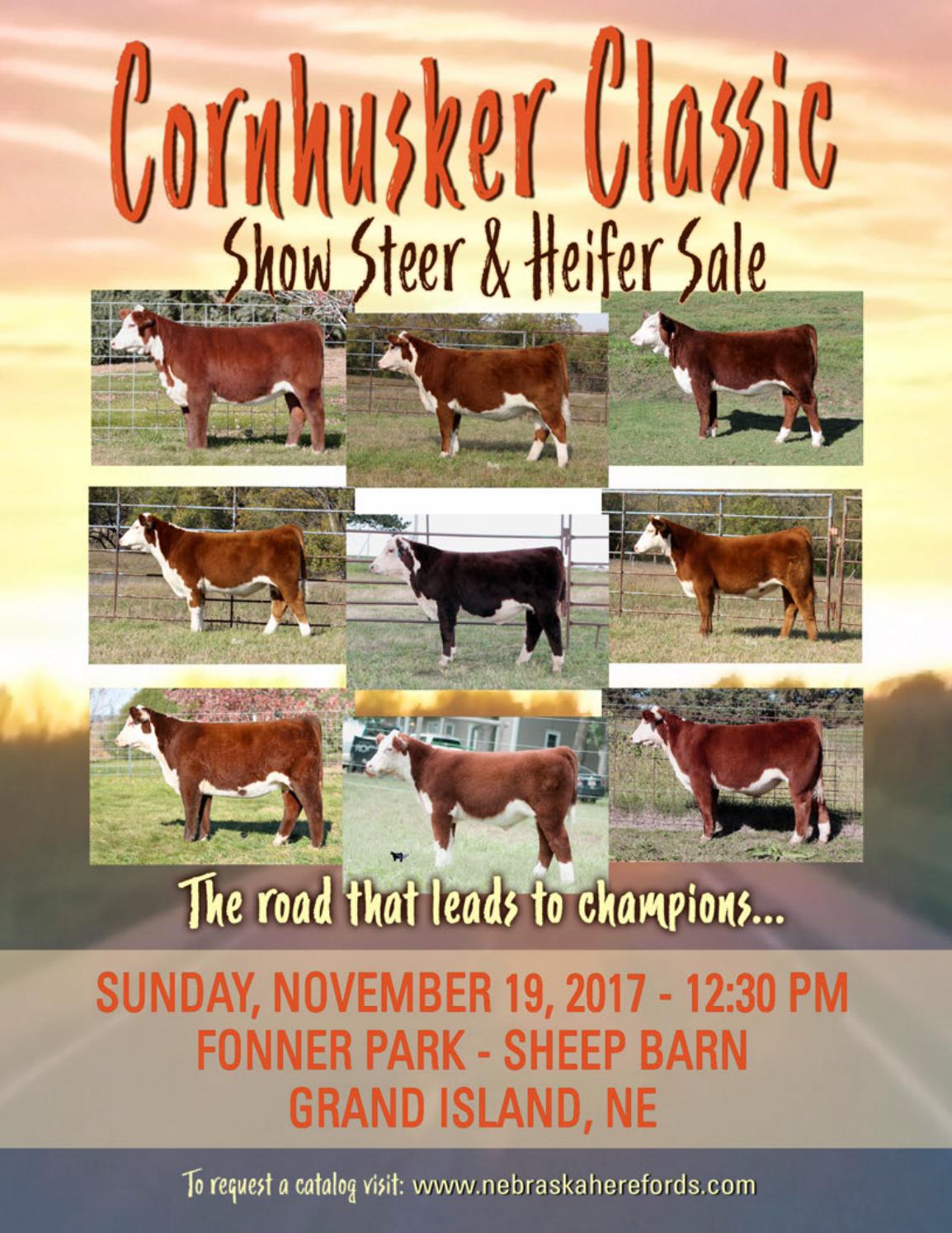 Cornhusker Classic Sale by American Hereford Association and Hereford