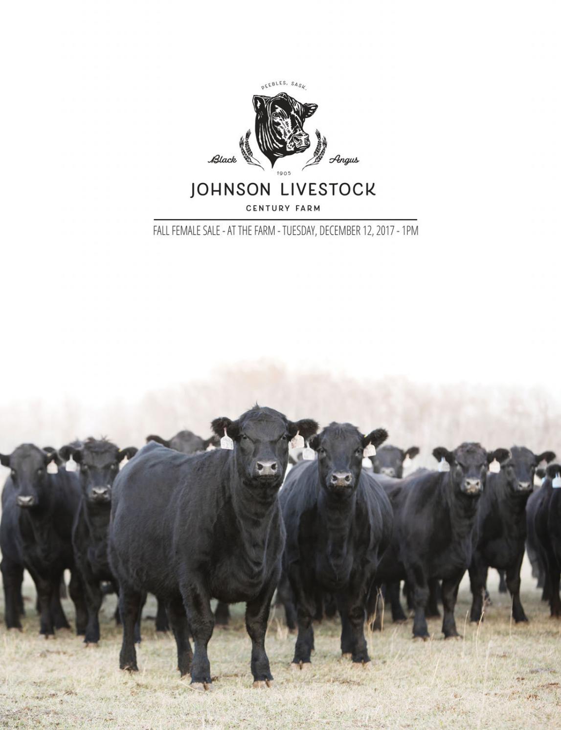 Johnson Livestock by Today's Publishing Inc. Issuu