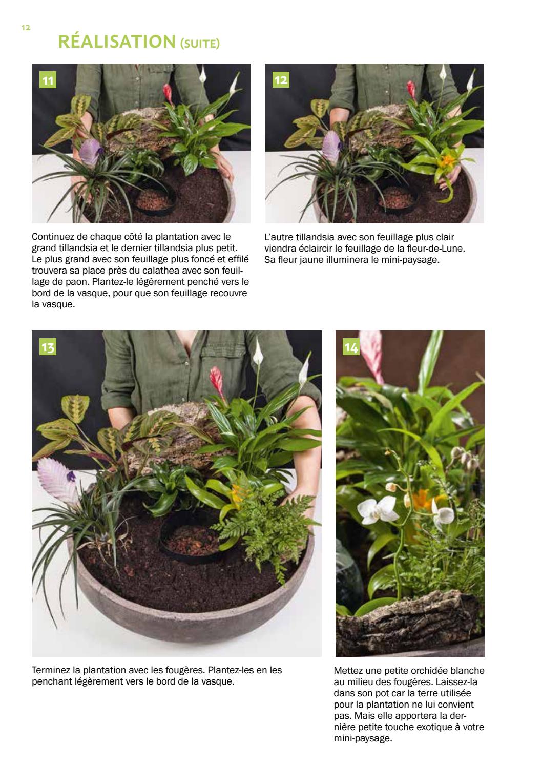 Jardins Paysages Miniatures By éditions Ulmer Issuu