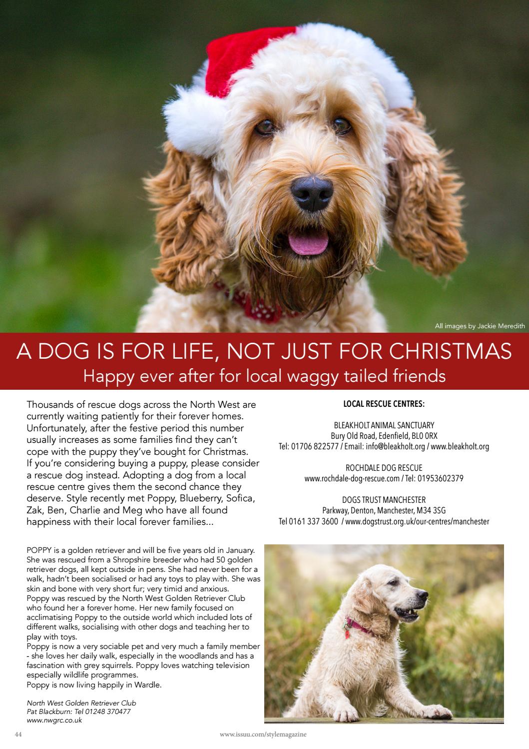 dogs trust north west