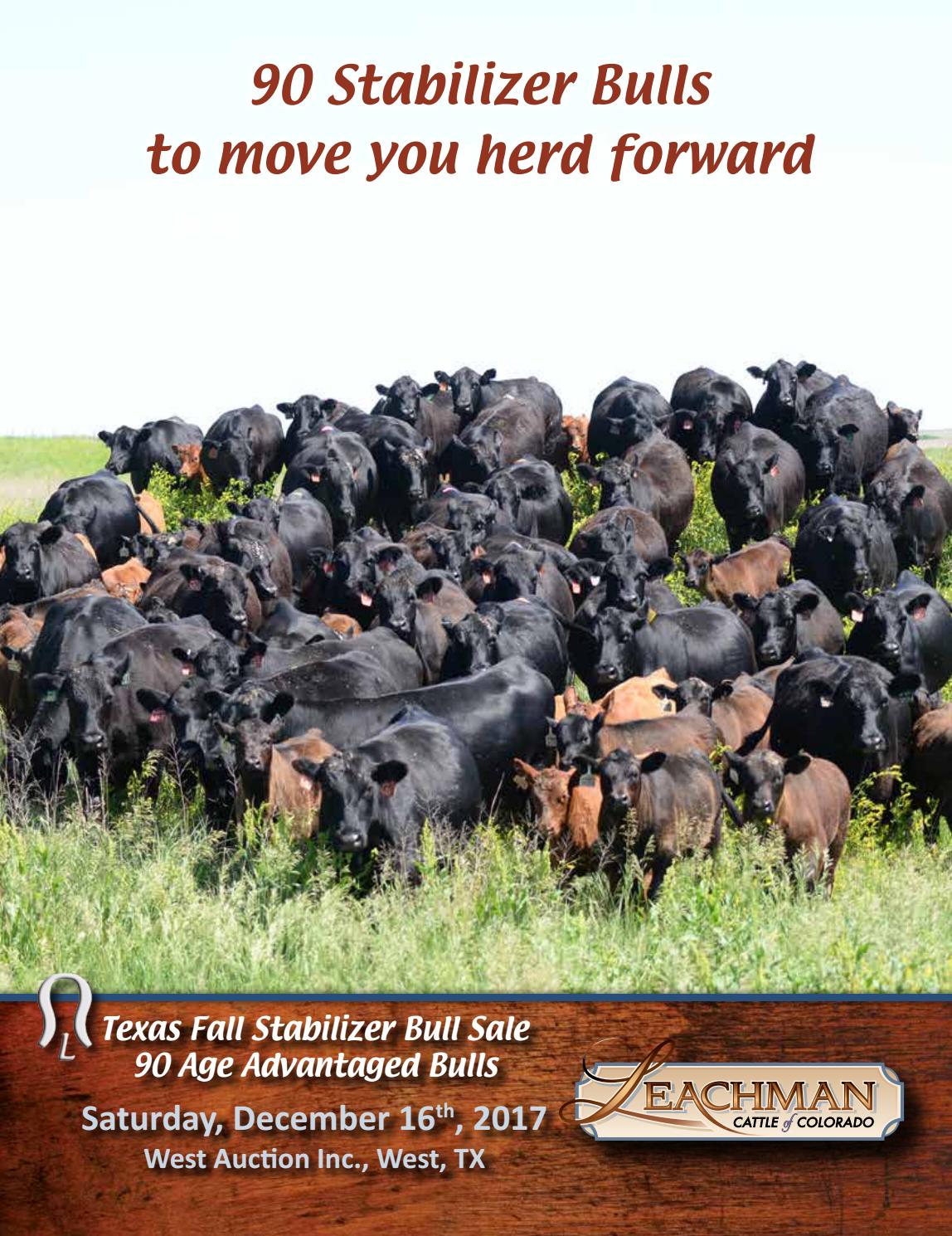 2017 Texas Sale By Leachman Issuu