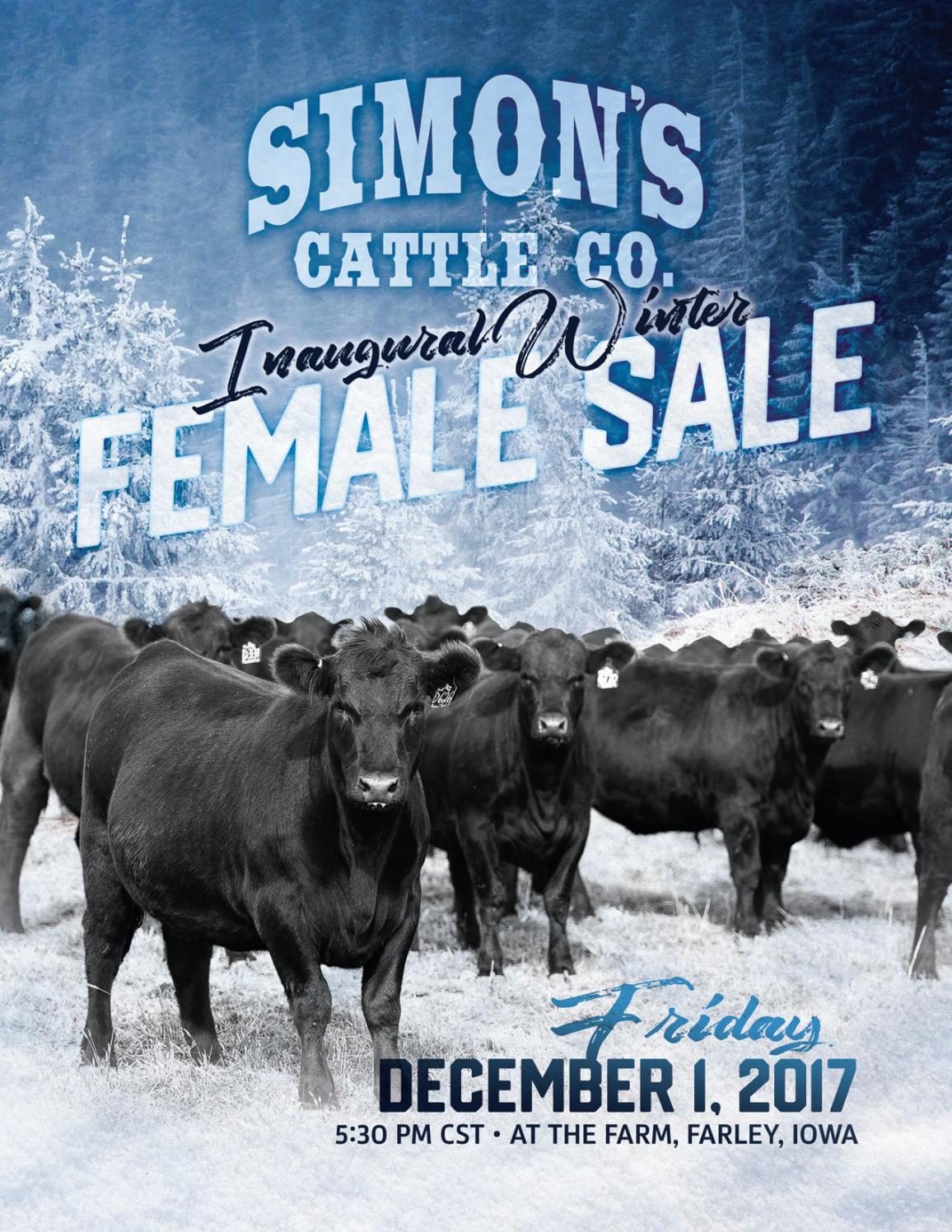 Simon's Cattle Co Winter Female Sale by Monti West Design Issuu