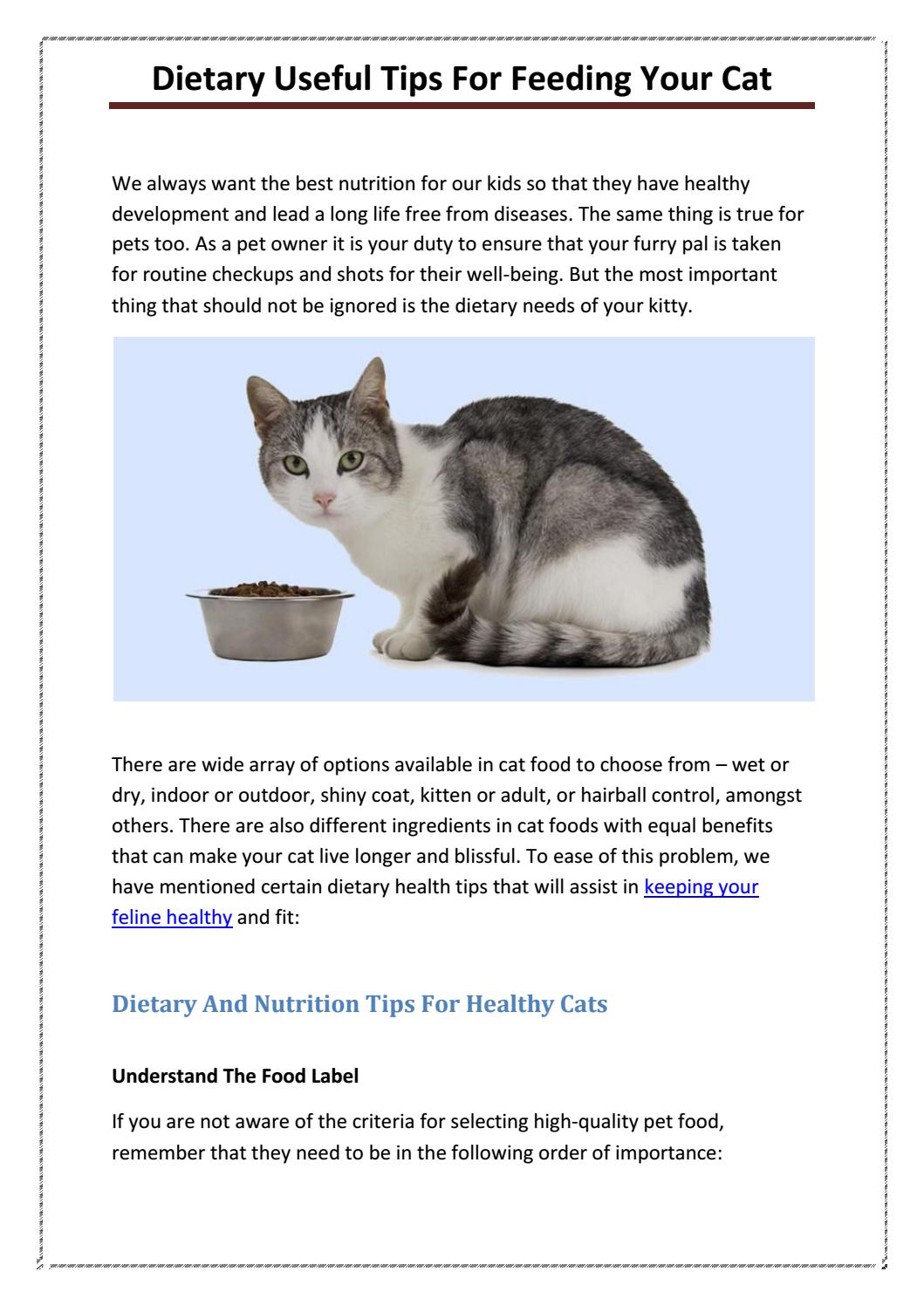 Dietary Useful Tips For Feeding Your Cat by BudgetVetCare Issuu
