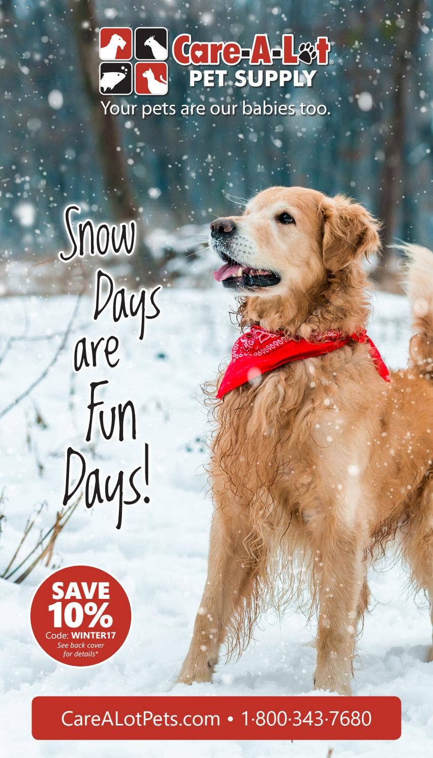 CareALot Pets Winter Catalogue 2017 by Ciniva Issuu