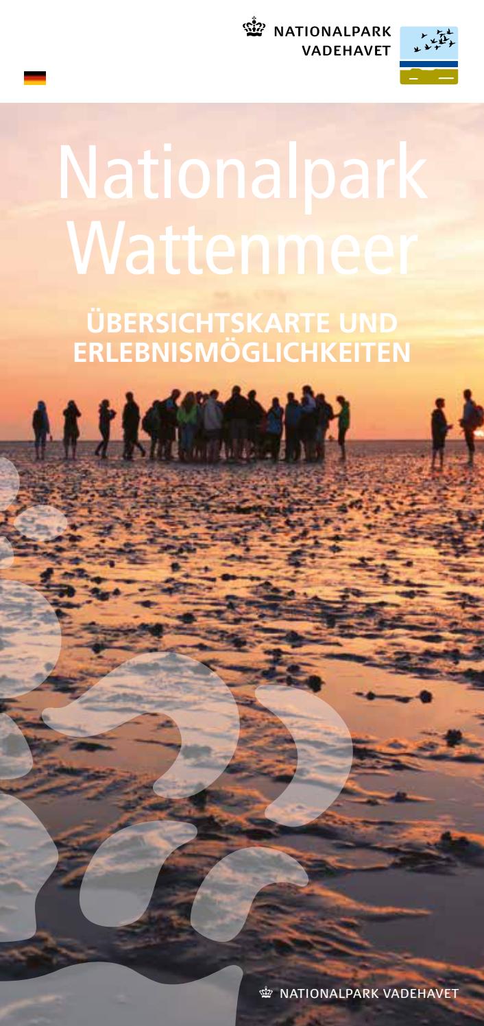 Weiße Würmer In Der Speisekammer - Raupen an der decke - kuschelige