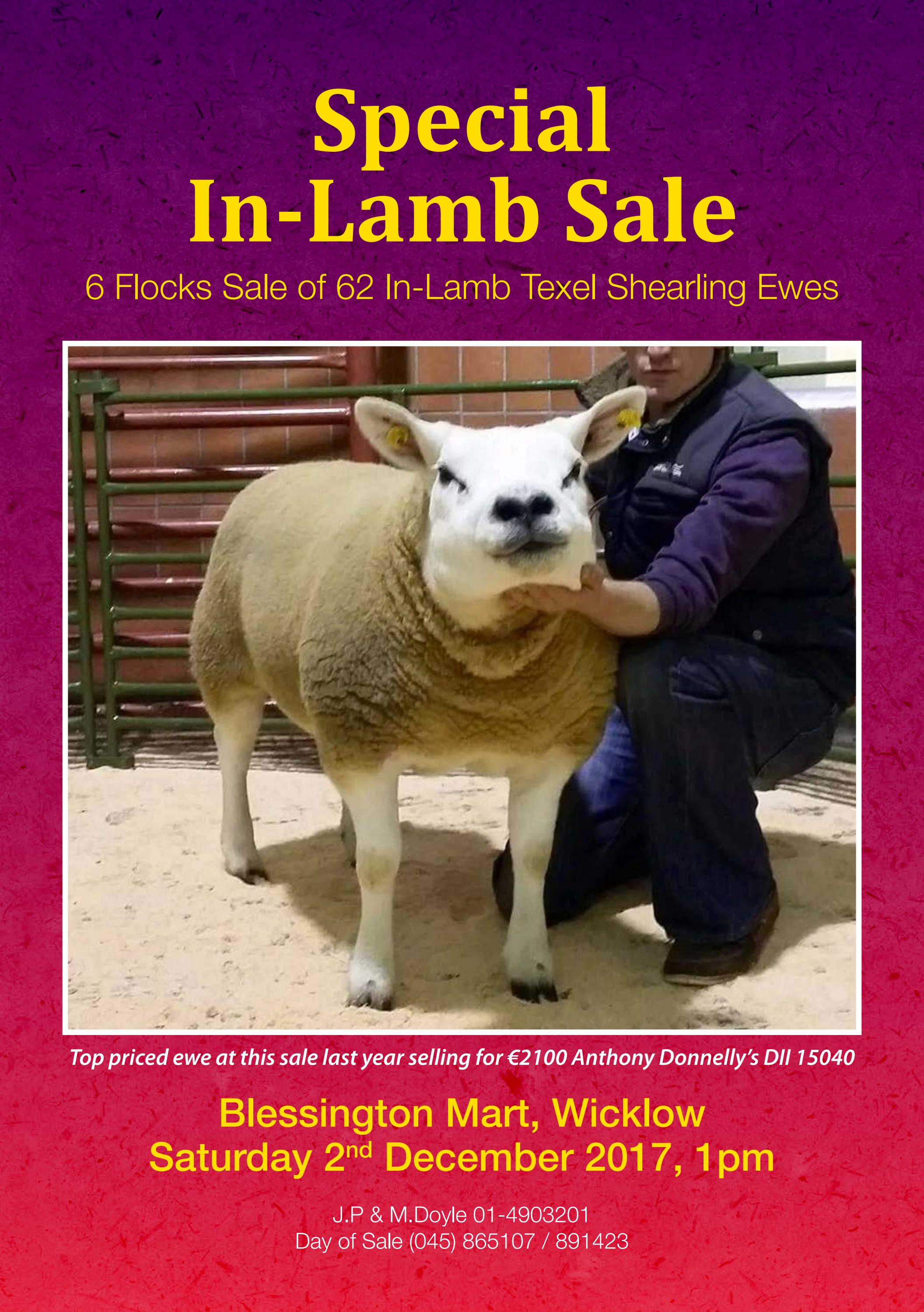 In lamb special sale catalogue 2017 by Irish Texel Sheep Society Issuu