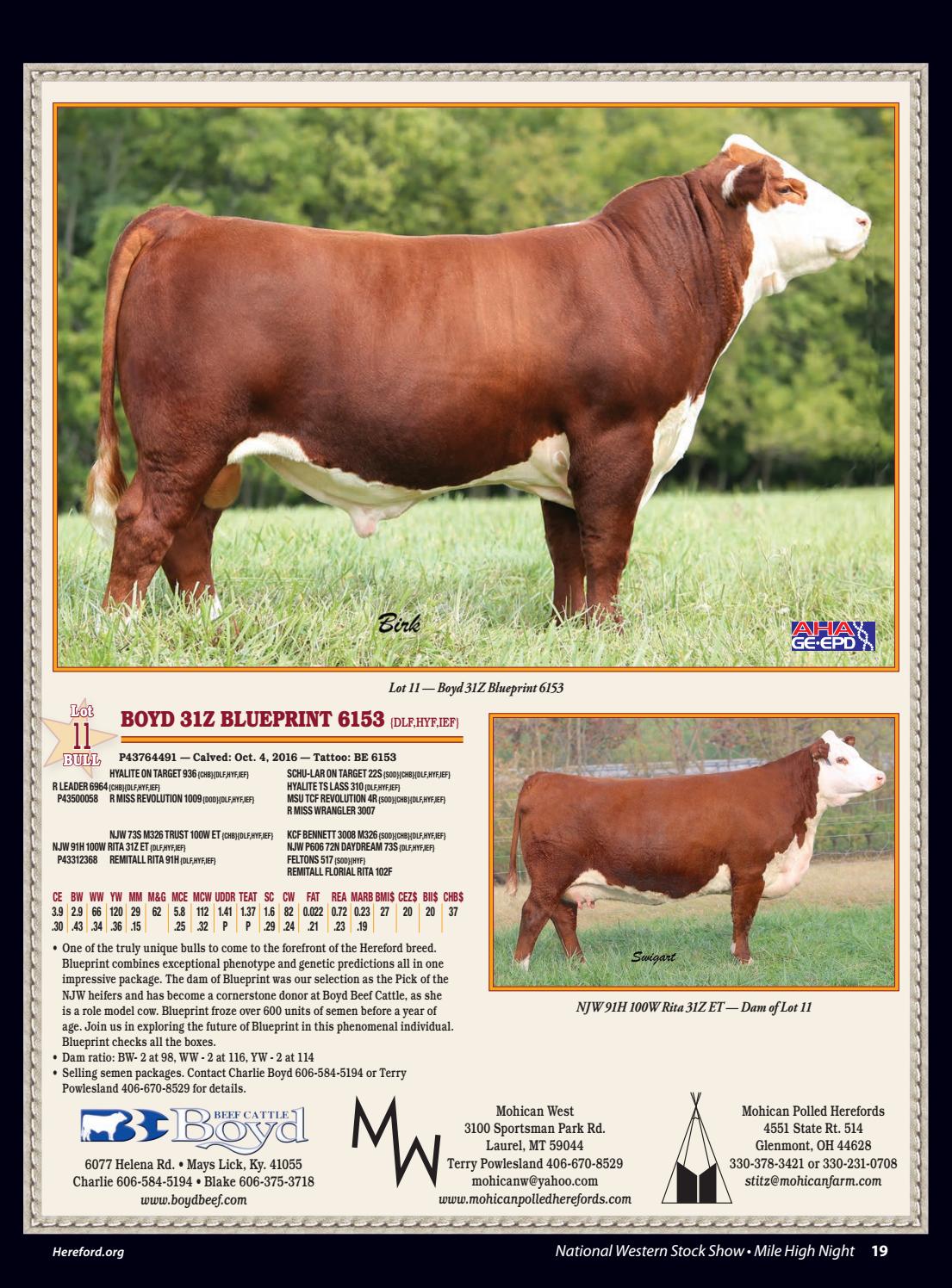 December 2017 Hereford World by American Hereford Association and