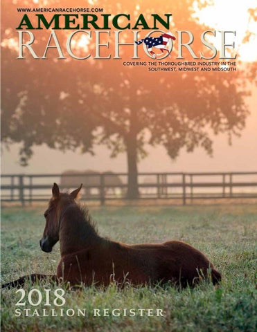 2018 American Racehorse Stallion Register by American Racehorse