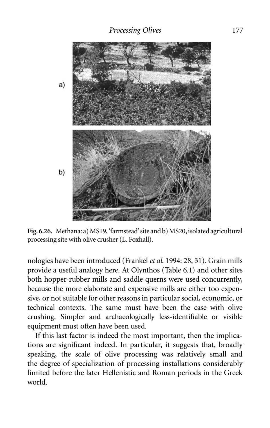 Olive cultivation in ancient greece seeking the ancient economy lin ...