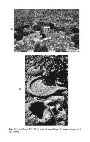 Olive cultivation in ancient greece seeking the ancient economy lin ...