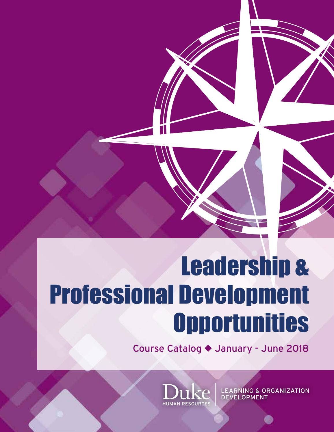 Learning & Professional Development Course Catalog (January June