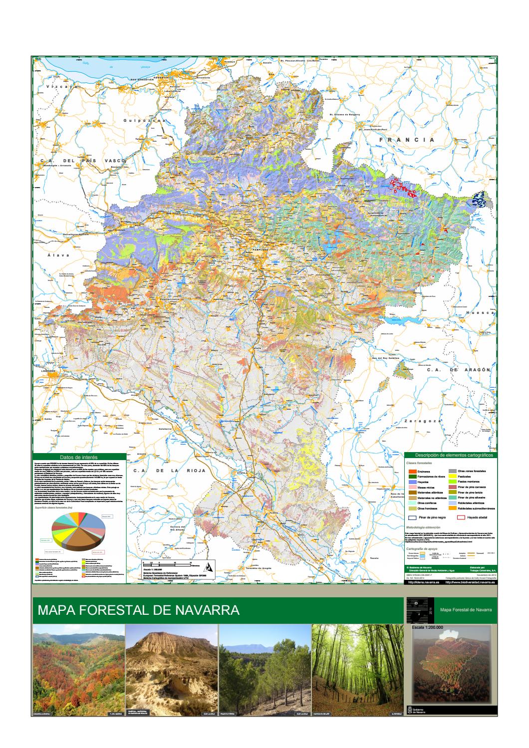 Mapa forestal de Navarra by medio ambiente navarra Issuu