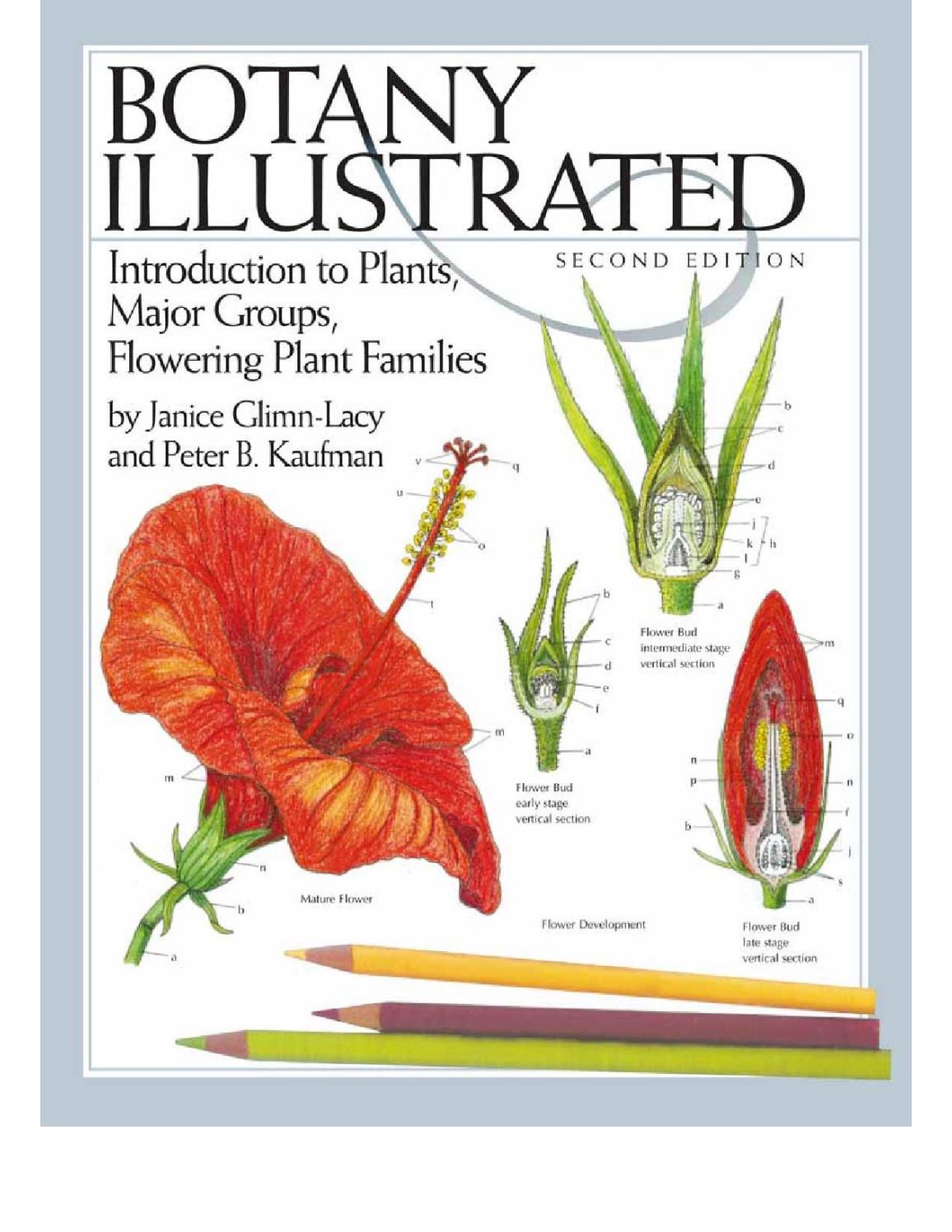 Botany Illustrated by Blisstress Issuu