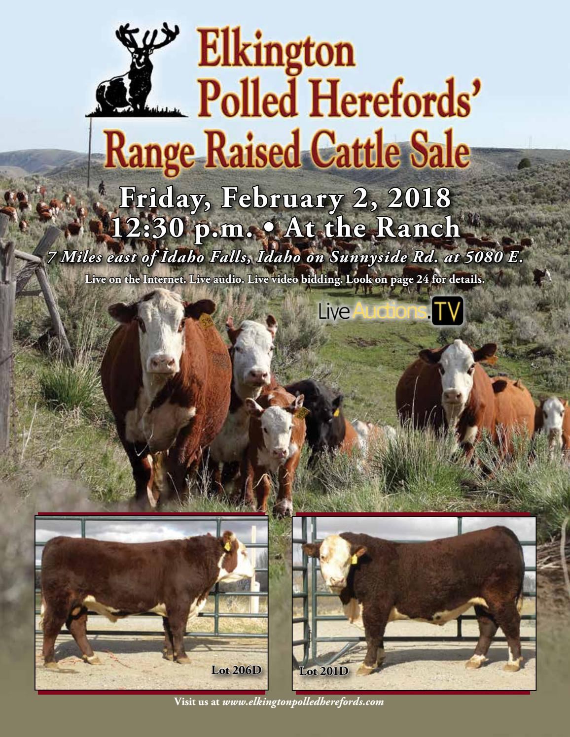 Elkington Polled Hereford Production Sale by American Hereford
