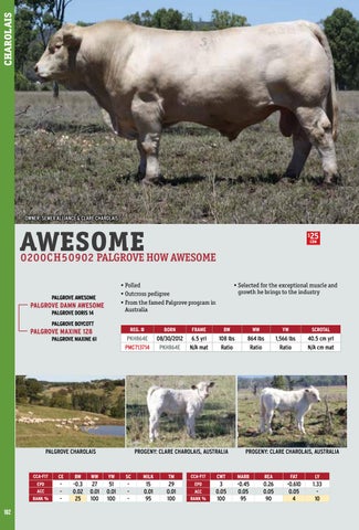 Awesome Page 102