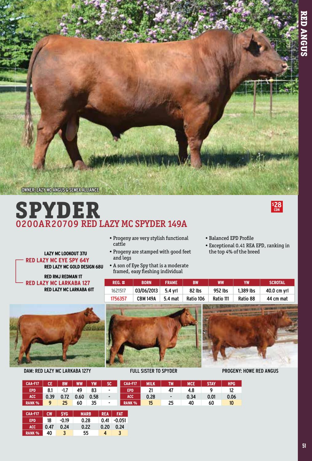 spyder season f17