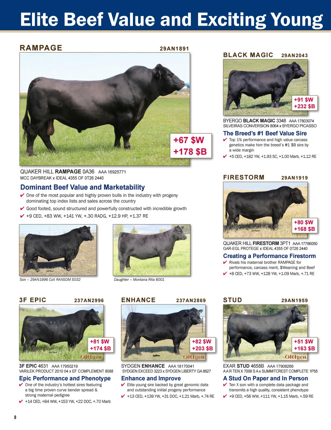 ABS Beef Breeder's Journal A new year in by ABS Global, Inc
