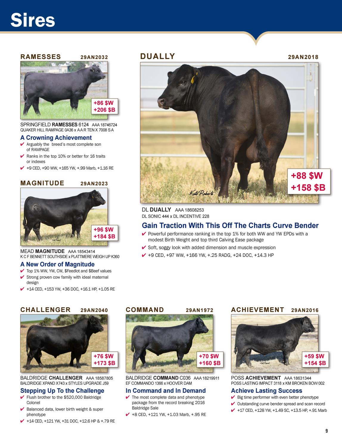 ABS Beef Breeder's Journal A new year in by ABS Global, Inc
