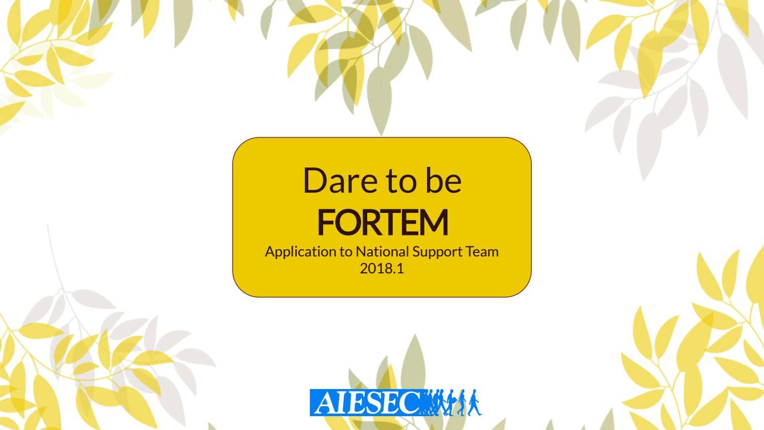 AIESEC in Venezuela - Application to National Support Team 18.1 by ...