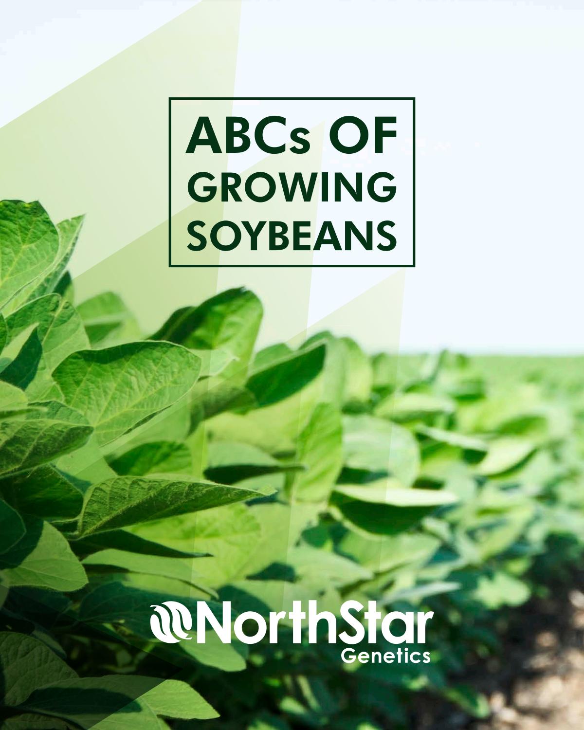 ABCs of Growing Soybeans by Thoughtwell Creative Issuu